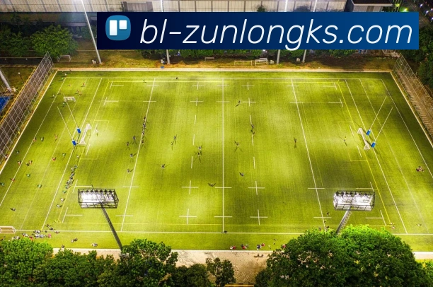 365体育官网平台生态图