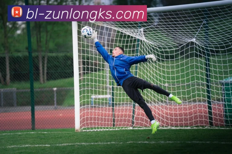 365体育官网APP 封面图